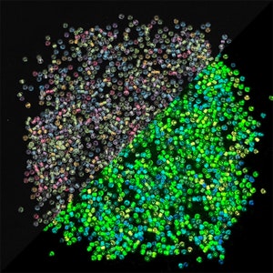 Arcobaleno colore luminoso che cambia perline 2mm 3mm 4mm - Glow in the Dark Beads - 12/0 8/0 6/0 Seed Beads - Gioielli luminosi