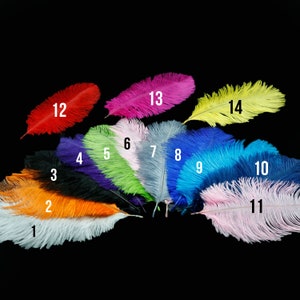 14 Colors of Ostrich Feathers Rainbow Feathers 15-20cm or - Etsy