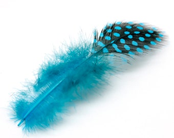 50 Turquoise Polka Dot Feathers, Guinea Hen Polka Dot Plumage Feathers, 5-12cm