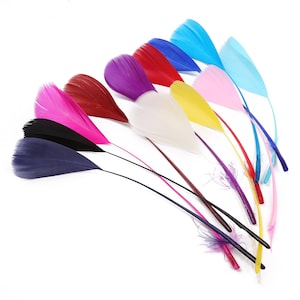 May include: Assortment of ten colorful feathers, including pink, red, blue, purple, yellow, white, and black. The feathers are arranged in a fan shape, with the tips of the feathers pointing to the right.
