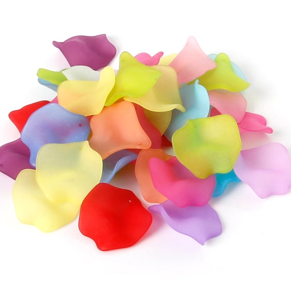 25 pcs Acrylic Frosted Rose Petal Charms, Rainbow Mix Acrylic Rose Petals - 50g - Leaf Beads