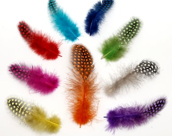 50 pcs Choice of Polka Dot Feathers, Guinea Hen Polka Dot Plumage Feathers, 5-12cm
