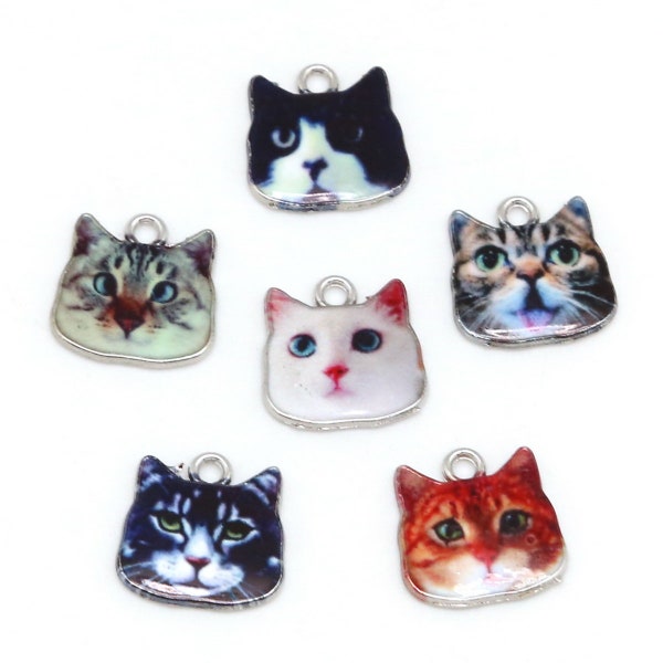 Charmes de chat mignons, Charme de visage de chat, Charms de chat, 17x17mm