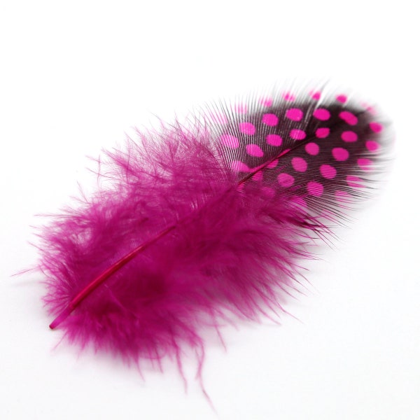 50 Pink Polka Dot Feathers, Guinea Hen Polka Dot Plumage Feathers, 5-12cm