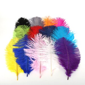 14 Colors of Ostrich Feathers Rainbow Feathers 15-20cm or - Etsy