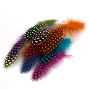 May include: A collection of colorful feathers with black polka dots. The feathers are arranged in a fan shape and are all different colors, including green, purple, orange, blue, and pink.