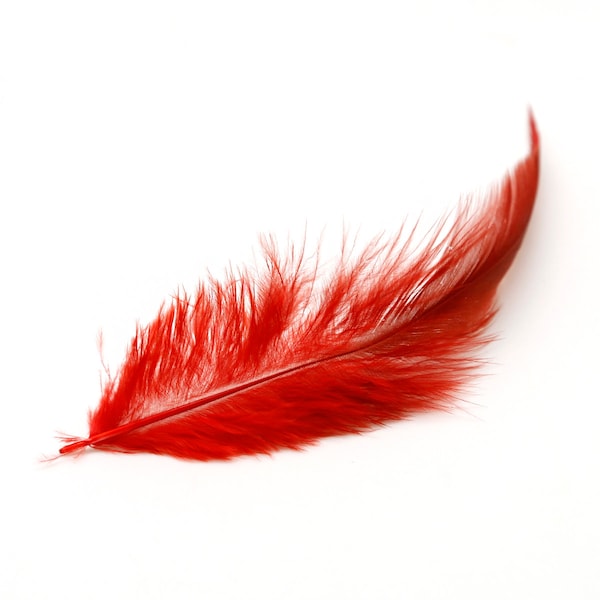 100 Red Rooster Feathers - 4-6 inch - Loose feathers - Real feathers - Earring Feather Supplies