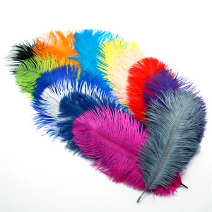 May include: A collection of colorful ostrich feathers in various shades, including black, orange, green, blue, yellow, white, red, purple, pink, and gray. The feathers are arranged in a fan shape, with the tips of the feathers pointing towards the right side of the image.
