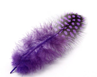 50 Purple Polka Dot Feathers, Guinea Hen Polka Dot Plumage Feathers, 5-12cm