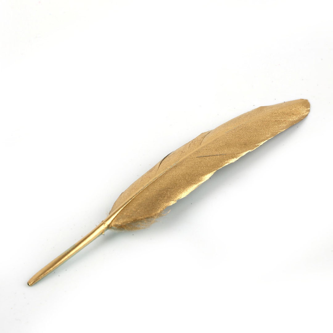 Set 100 Piume D'Oca PANAX | 10-15cm | Per Artigianato, Costumi E Decorazioni