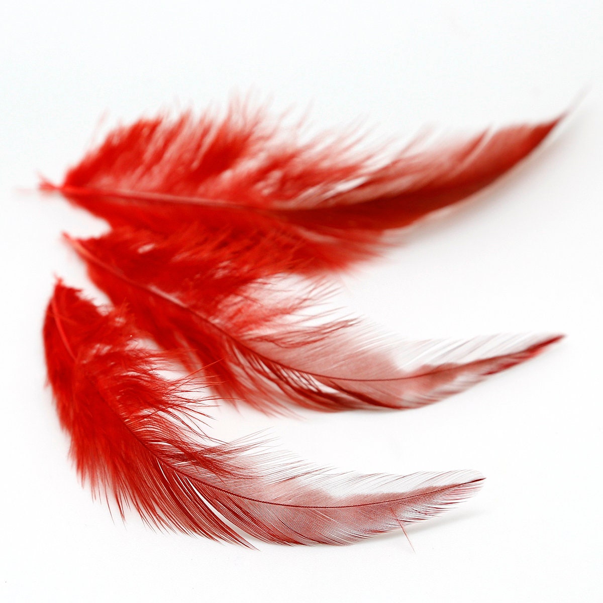 4-6 Inch Natural Feathers 250 Pack Bulk Feathers for Crafts Style 1, Rose  Red - Rose Red - Bed Bath & Beyond - 38351039