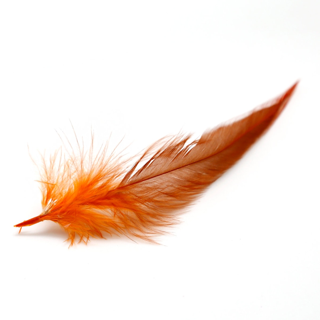 21 Rainbow Rooster Craft Feathers 4to11inch WYSIWYG