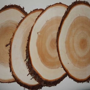 Grill-N-Flavor Maine 6 x 12 Oval Cedar Planks 4 ct - Free Shipping!