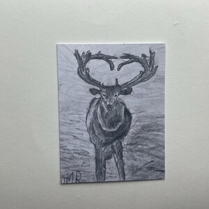 Oh Deer-wenskaart
