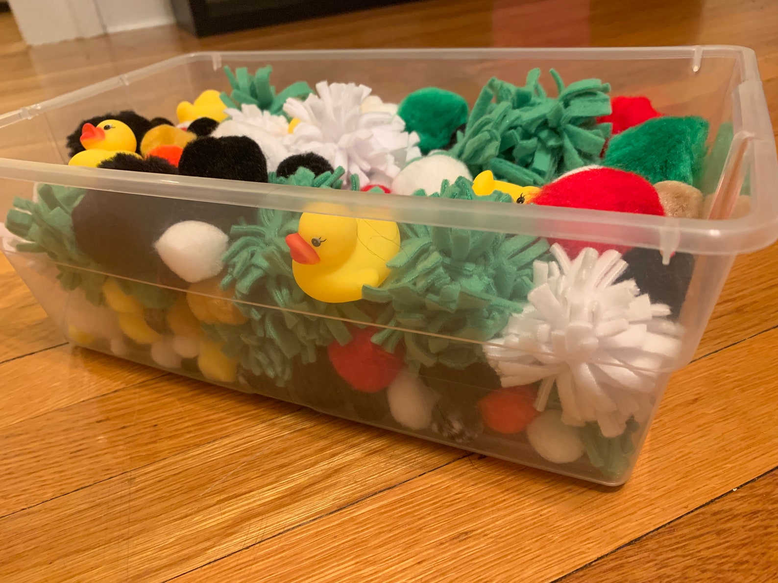 Hedgehog Assorted Dig Box Etsy