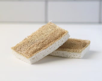 May include: Two brown loofah sponges with white foam backing. The sponges are stacked on top of each other.