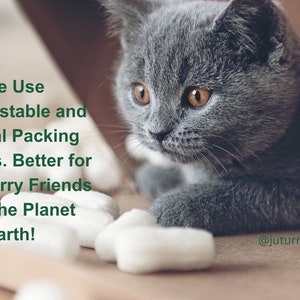 May include: A gray kitten peeks out from a cardboard box filled with white packing peanuts. The text "We Use Compostable and Natural Packing Peanuts. Better for Your Furry Friends and The Planet Earth!" is visible in the image. The text "@juturna_studios" is also visible in the image.