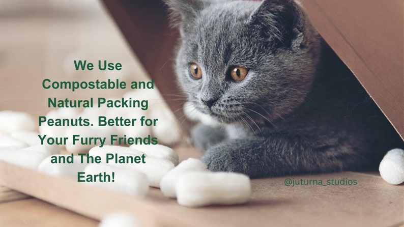 May include: A gray kitten peeks out from a cardboard box filled with white packing peanuts. The text "We Use Compostable and Natural Packing Peanuts. Better for Your Furry Friends and The Planet Earth!" is visible in the image. The text "@juturna_studios" is also visible in the image.