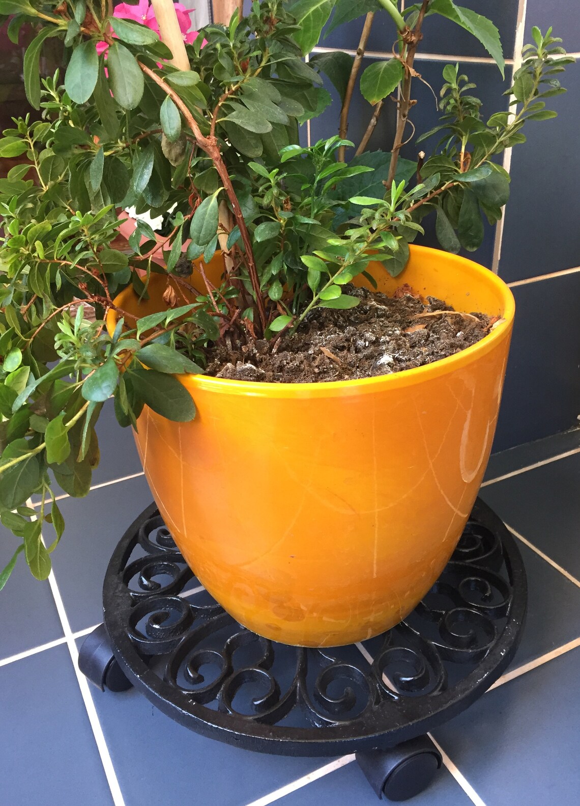 Plant Pot Stand Cast Aluminium Flower Pot Base Etsy