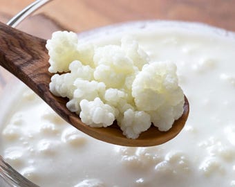 Healthy Live Organic Milk Kefir Grains (1 Tbsp) with Detailed Instructions