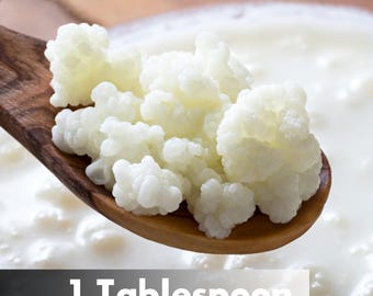 Healthy Live Organic Milk Kefir Grains (1 Tbsp) with Detailed Instructions