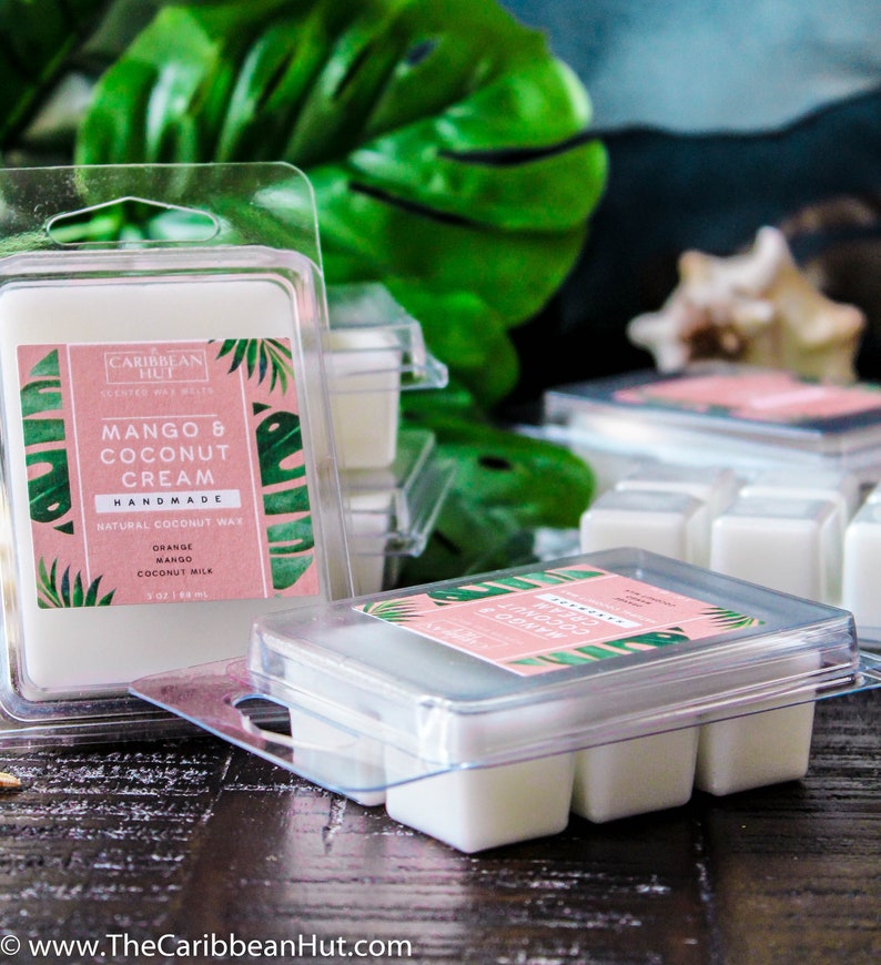 STRONG scented wax melts long lasting wax melts coconut wax Etsy