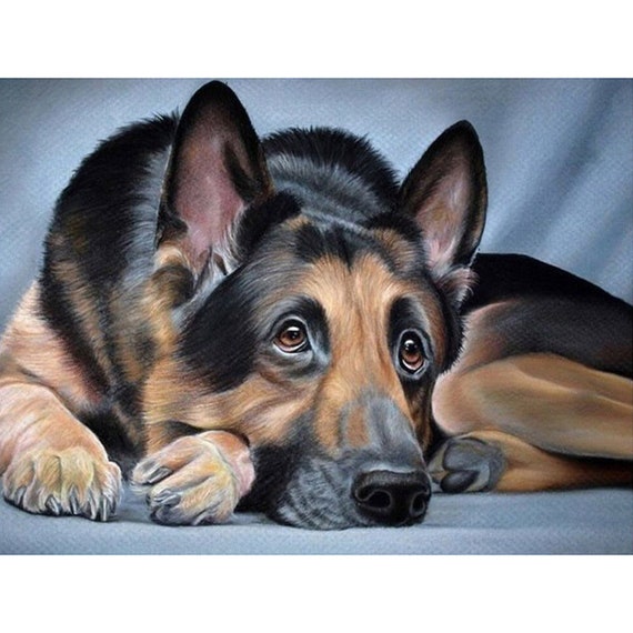 Diamond Painting Dog 