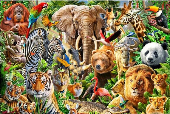 DIY Diamond Painting Animals Zoo Full Drills Diamond Painting - Etsy DIY Diamond Painting Animals Zoo Full Drills Diamond Painting - Etsy