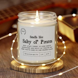 Scented Candles, Candle, Pirates of the Caribbean Smell, Coconut Apricot Wax, Disney Candle, Salty Pirate Candle, Hand Poured Candle, Small