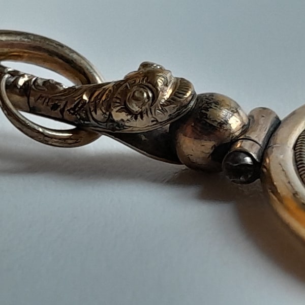 Fabulous Rare Antique Georgian Novelty Snake/Serpent Magnifying Glass Pendant