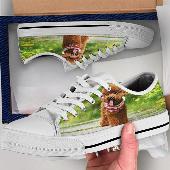 BROWN POODLE CANVAS SHOES BROWN POODLE CANVAS SHOES
