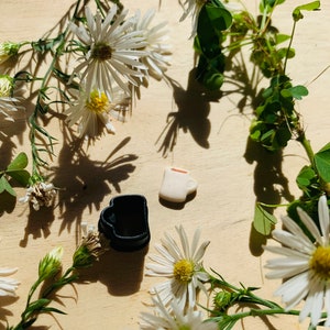 May include: A white ceramic mug with a red rim sits on a wooden surface surrounded by white daisies and green leaves.