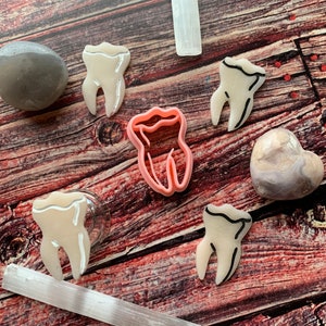 May include: Five white tooth-shaped cookie cutters with black outlines, one pink tooth-shaped cookie cutter, and two white crystal wands on a wooden surface.