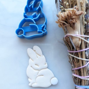 May include: A blue plastic bunny-shaped cookie cutter next to a white bunny-shaped confection. The cookie cutter is a detailed outline of a sitting rabbit. The confection has a rounded body and a small, fluffy tail.