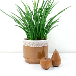 Fat lava planter - Etsy 日本