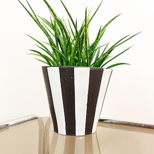 Könnte beinhalten: Eine Schlangenpflanze im Topf mit grünen Blättern in einem schwarz-weiß gestreiften Keramiktopf. Der Topf steht auf einem Glastisch.