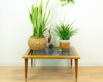 Midcentury Wooden Smoked Glass Coffee Table - Plant Stand with Tapered Legs