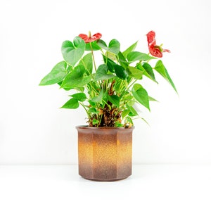 Large 1970s midcentury WGP Ceramic Planter by SCHEURICH 932 18 West German pottery