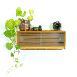 Original 1950s vintage KITCHEN WALL CABINET, frosted glass sliding doors, plastic hooks, midcentury furniture