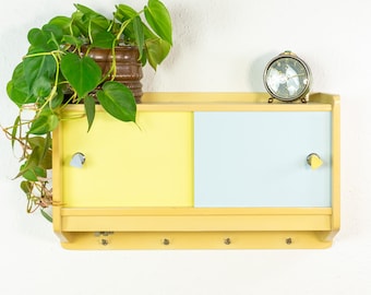 Rare 1960s Midcentury Wall Cabinet with Reversible Sliding Doors
