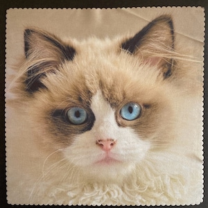 Microfiber cloth Cat Blue eyed kitty, glass cleaner, cleaning cloth, Phone cleaner, tablet cleaner, microfiber, Birthday gift, free ship
