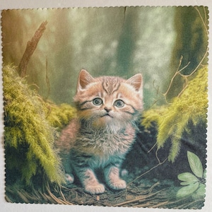 Microfiber cloth Kitten cat digital photo glass cleaner cleaning cloth Phone cleaner tablet cleaner microfiber Birthday gift free ship