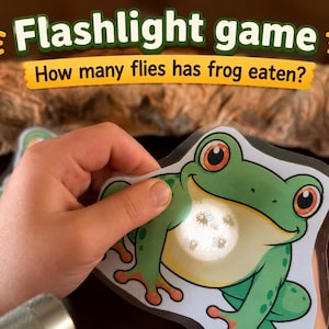 May include: A Flashlight game card featuring a green frog illustration with the text Flashlight game and How many flies has frog eaten? A light shines through the frog's belly, revealing small fly graphics printed on the translucent material.