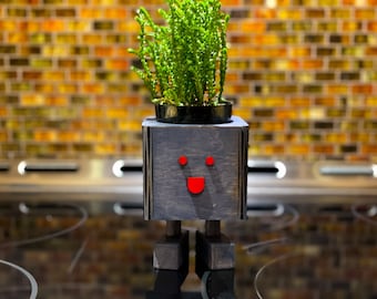 Wooden Planter For Small Succulent Indoor or Outdoor / Oddish Edition