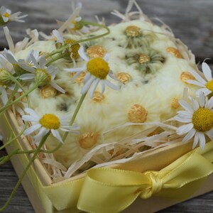 May include: A yellow gift box with a white and gold floral design, tied with a yellow ribbon, and filled with white daisies.