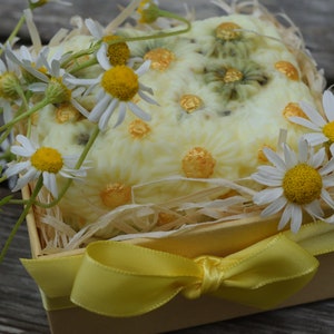 May include: A yellow gift box with a yellow ribbon bow, filled with a white soap bar decorated with daisies and gold accents. The box is surrounded by white daisies.