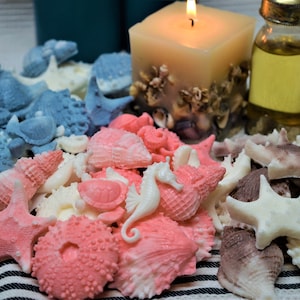 Rose soap. Sea Shell Soap Set.  Lavender soap. Almond soaps.
