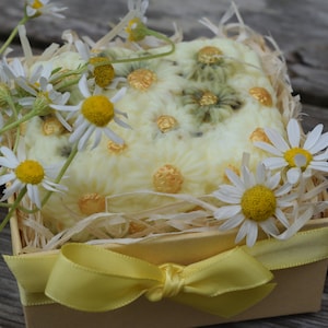 May include: A yellow gift box with a yellow bow and a white soap bar decorated with chamomile flowers. The box is filled with shredded paper and surrounded by chamomile flowers.