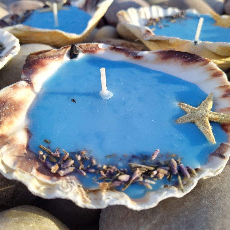 Shell Candle - Etsy