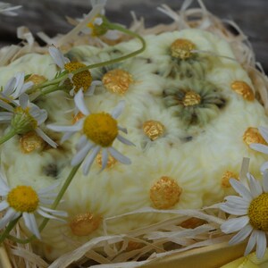 May include: A white soap bar with a floral design and gold accents, nestled in a bed of straw and surrounded by white daisies.
